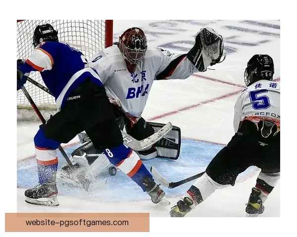 冰球排名：全面解读世界各大职业联赛的排名情况