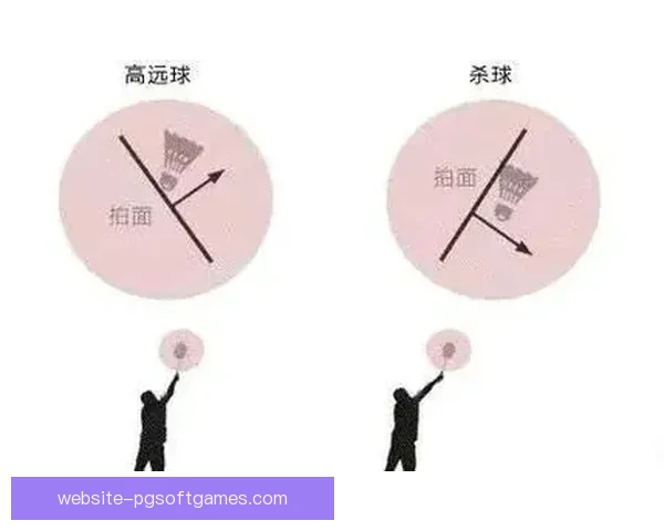 学习羽毛球技巧，从零基础开始操作