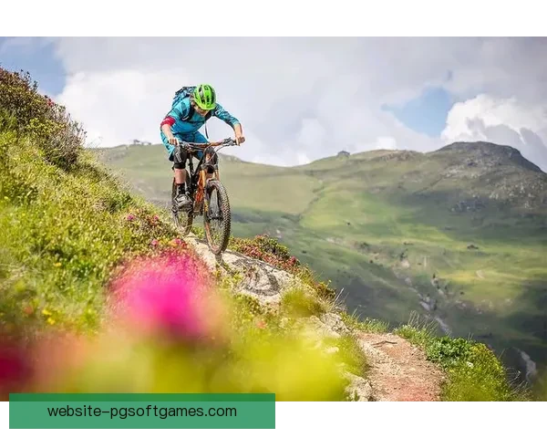 山地车杯赛：挑战极限，征服自我