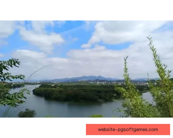 深度解析皮划艇盘口技术及策略要点